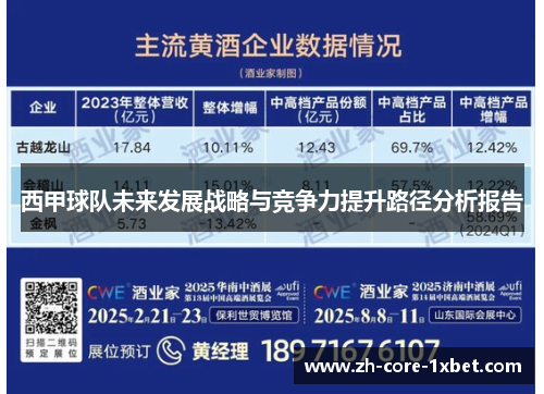 西甲球队未来发展战略与竞争力提升路径分析报告