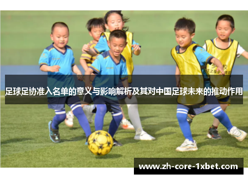 足球足协准入名单的意义与影响解析及其对中国足球未来的推动作用