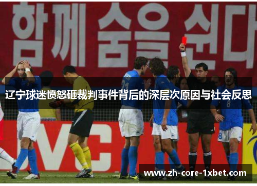 辽宁球迷愤怒砸裁判事件背后的深层次原因与社会反思